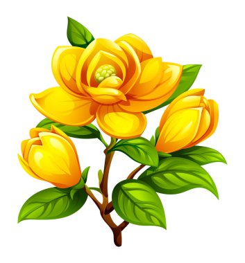 Dalında yapraklar olan sarı manolya çiçekleri. Vektör çizgi film illüstrasyonu