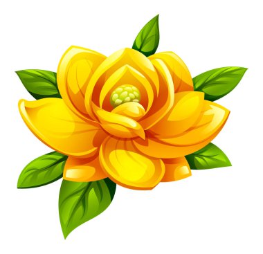 Sarı manolya çiçeği yapraklarla çiçek açar. Vektör karikatür çizimi beyaz arkaplanda izole edildi