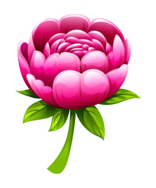 Yapraklı ve saplı pembe şakayık çiçeği. Vektör çizgi film illüstrasyonu