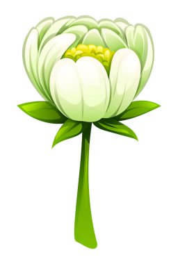 Saplı beyaz şakayık çiçeği. Vektör çizgi film illüstrasyonu