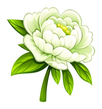 Yaprakları ve yaprakları gür beyaz şakayık çiçekleri. Vektör çizgi film illüstrasyonu