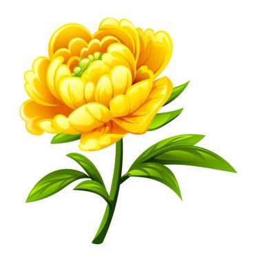 Yaprakları ve sapı olan sarı şakayık çiçeği. Vektör çizgi film illüstrasyonu