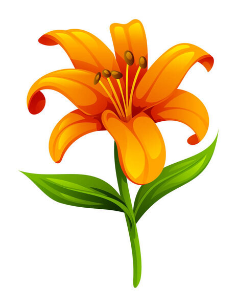 Orange lily flower with smooth petals and leaves, perfect for elegant floral designs. Vector cartoon illustration