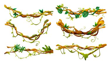 Yaprakları ve doğal elementleri olan orman sarmaşığı dizaynı. Doğa temalı tasarımlar için mükemmel. Vektör çizgi film illüstrasyonu