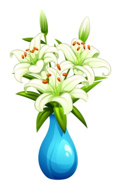 Mavi vazoda yapraklı beyaz zambak çiçekleri. Vektör çizgi film illüstrasyonu