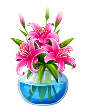 Yuvarlak cam vazoda suyla birlikte güzel pembe zambaklar. Vektör çizgi film illüstrasyonu