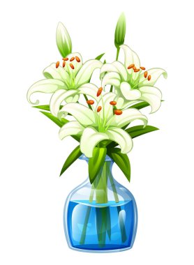 Şeffaf cam vazoda suyla dolu beyaz zambaklar. Vektör çizgi film illüstrasyonu