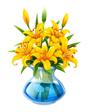 Cam vazoda suyla birlikte sarı zambaklar. Vektör çizgi film illüstrasyonu