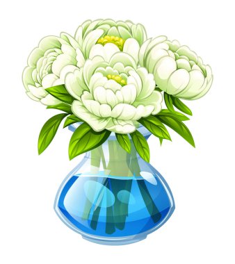 Şeffaf vazoda içi su ve yeşil saplarla dolu bir buket beyaz şakayık. Vektör çizgi film illüstrasyonu