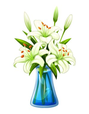 Yeşil yapraklı cam bir vazoda bir buket beyaz zambak. Vektör çizgi film illüstrasyonu