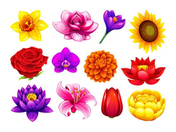 Vibrant collection of assorted blooming flowers including rose, lily, orchid, and sunflower. Vector cartoon illustration