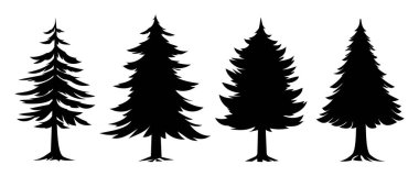 Beyaz arka planda yoğun ve konik şekillere sahip farklı çam ağaçları seti. Vektör çizgi film illüstrasyonu