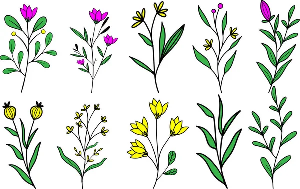 ตกแต เขตร นหล สวน ใบไม ธรรมชาต ออกแบบ ธรรมชาต ดอกไม — ภาพเวกเตอร์สต็อก