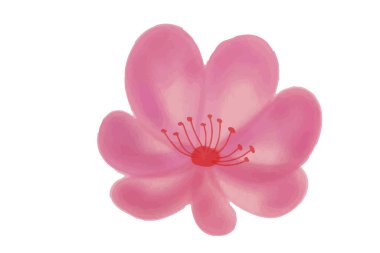 Çiçek vektörü, taslak, illüstrasyon, doğa, çiçek, yaz