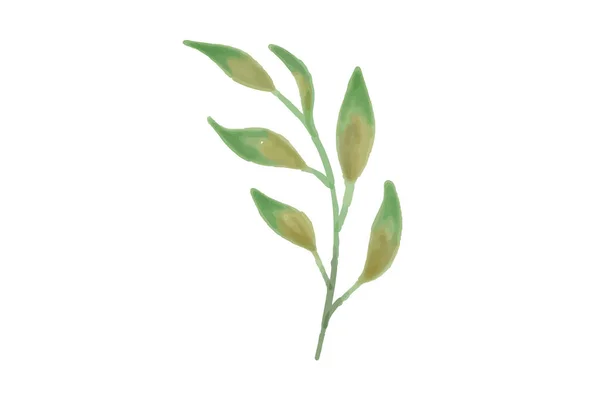 Квітковий Вектор Контур Ілюстрація Природа Квітка Літо — стоковий вектор