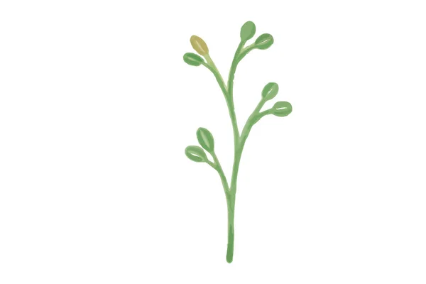 Blommor Vektor Kontur Illustration Natur Blomma Sommar — Stock vektor