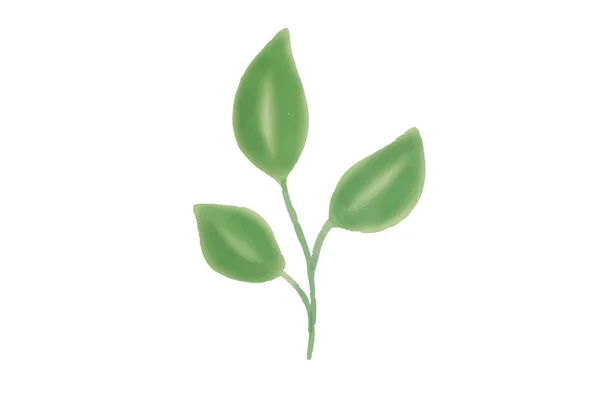 植物矢量 — 图库矢量图片