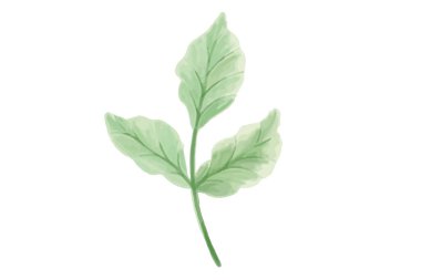 Çiçek vektörü, taslak, illüstrasyon, doğa, çiçek, yaz