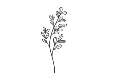 Botanik Suluboya Vektör İllüstrasyonu