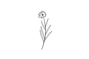 Botanik suluboya, vektör, tasarım, illüstrasyon, grafik, clipart