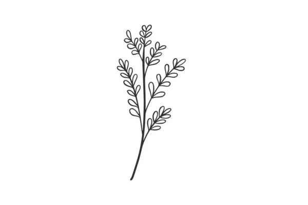 Ботаническая Акварельная Векторная Иллюстрация — стоковый вектор