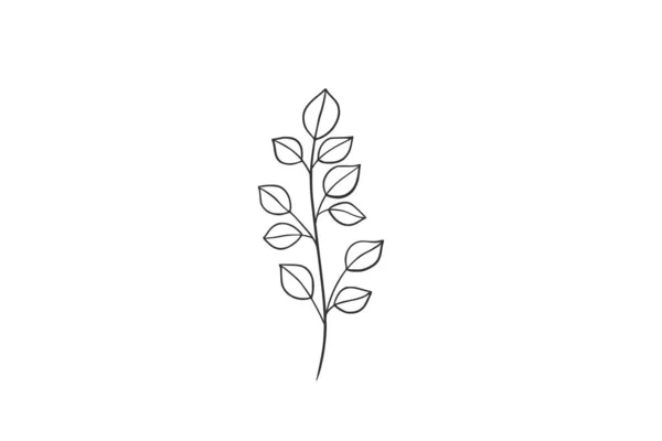 植物水彩ベクトルイラスト — ストックベクタ