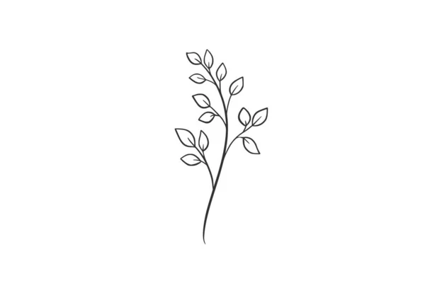 Botanická Ilustrace Vektoru Akvarelu — Stockový vektor
