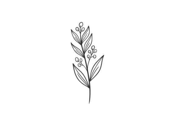 Botanical Watercolor Vector Illustration — Stock Vector