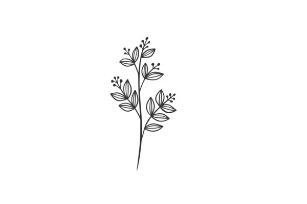 Ботаническая Акварельная Векторная Иллюстрация — стоковый вектор