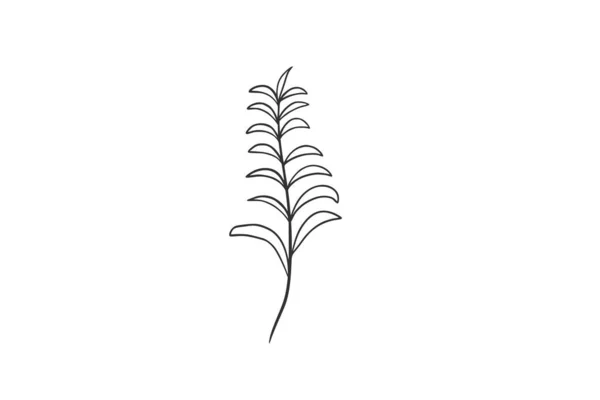 Botanische Aquarel Vector Illustratie — Stockvector
