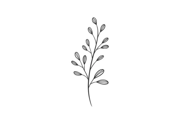 Illustrazione Botanica Del Vettore Dell Acquerello — Vettoriale Stock