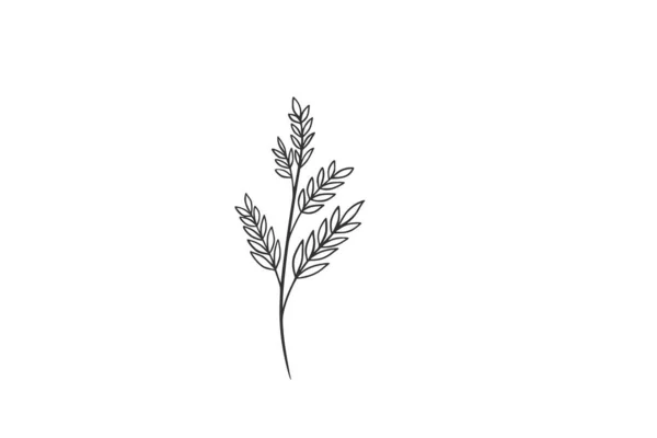 Botanical Watercolor Vector Illustration — Stock Vector