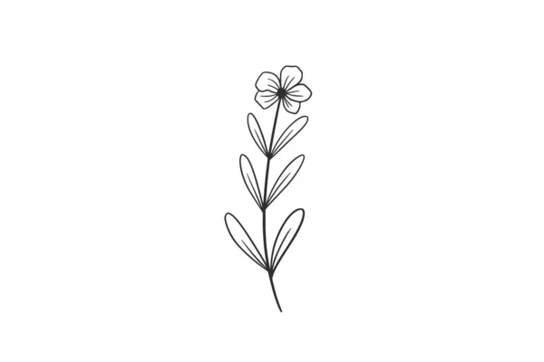 Aquarela Botânica Vetor Desenho Ilustração Gráfico Clipart — Vetor de Stock
