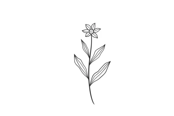 Botanisk Akvarell Vektor Design Illustration Grafik Clipart — Stock vektor