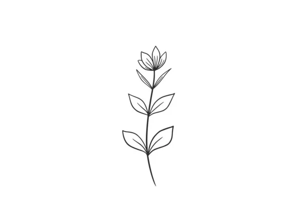 Acquerello Botanico Vettore Disegno Illustrazione Grafica Clipart — Vettoriale Stock