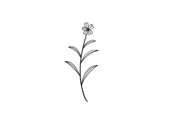 Botanical Watercolor Vector Design Illustration Graphic Clipart — Stock Vector