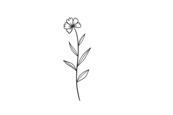 Botanická Akvarel Vektor Design Ilustrace Grafika Kliparty — Stockový vektor
