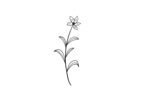 Botanical Watercolor Vector Design Illustration Graphic Clipart — Stock Vector