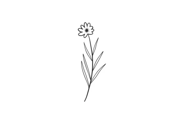 Botanisk Akvarell Vektor Design Illustration Grafik Clipart — Stock vektor