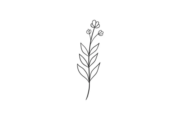 Aquarela Botânica Vetor Desenho Ilustração Gráfico Clipart —  Vetores de Stock
