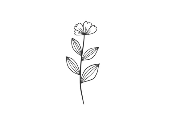 Aquarela Botânica Vetor Desenho Ilustração Gráfico Clipart —  Vetores de Stock