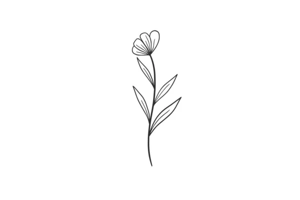 Ботанический Акварель Вектор Дизайн Иллюстрация Графика Клипарт — стоковый вектор