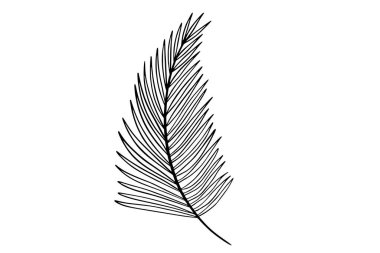 Palmiye yaprakları resim çizimi