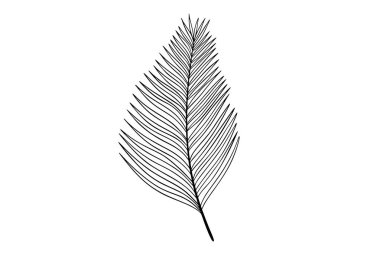 Palmiye yaprakları resim çizimi