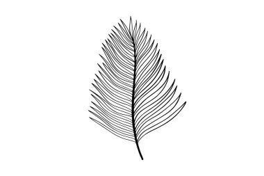 Palmiye yaprakları resim çizimi