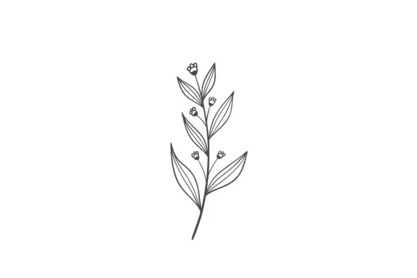 Wildplant Line Art Illustration — Stockový vektor