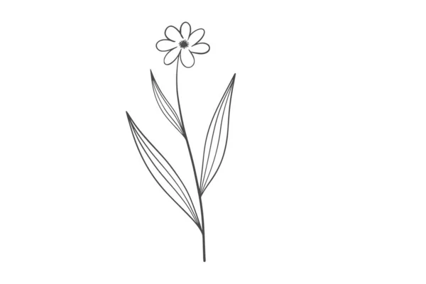 Línea Wildplant Ilustración Arte — Vector de stock