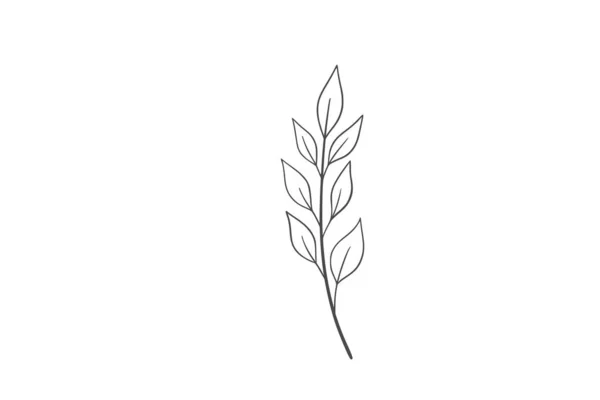 Художня Ілюстрація Лінії Дикої Рослини — стоковий вектор
