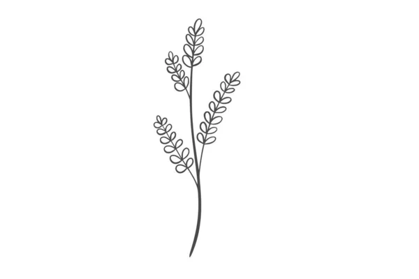 Línea Wildplant Ilustración Arte — Archivo Imágenes Vectoriales