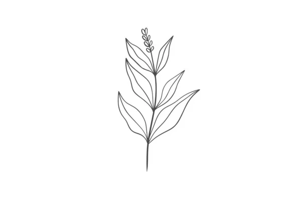 Wildplant Γραμμή Τέχνης Εικονογράφηση — Διανυσματικό Αρχείο